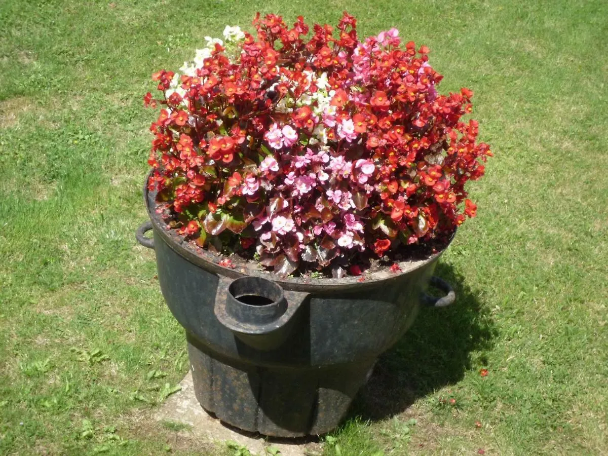 Les Bruyeres Villa Scrignac Holiday home