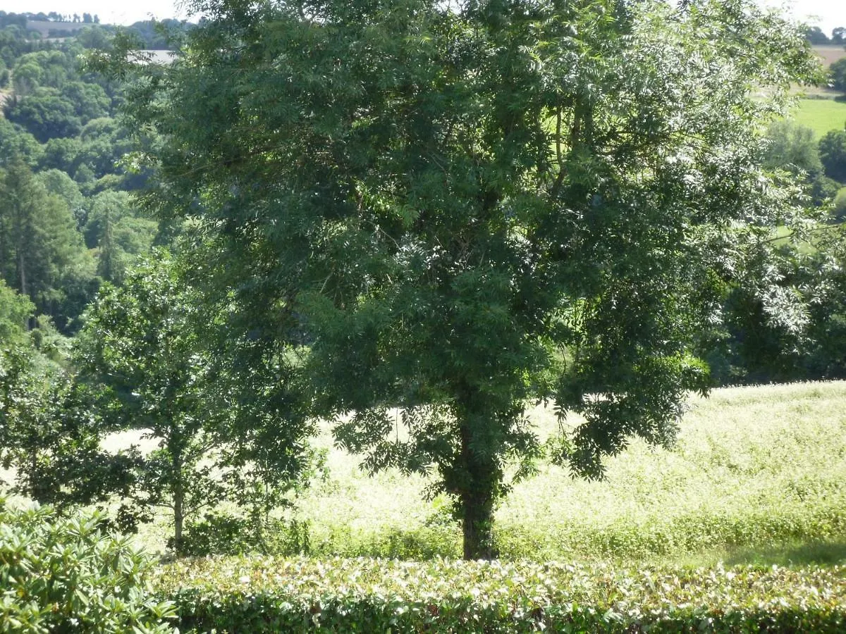 Holiday home Les Bruyeres Villa Scrignac